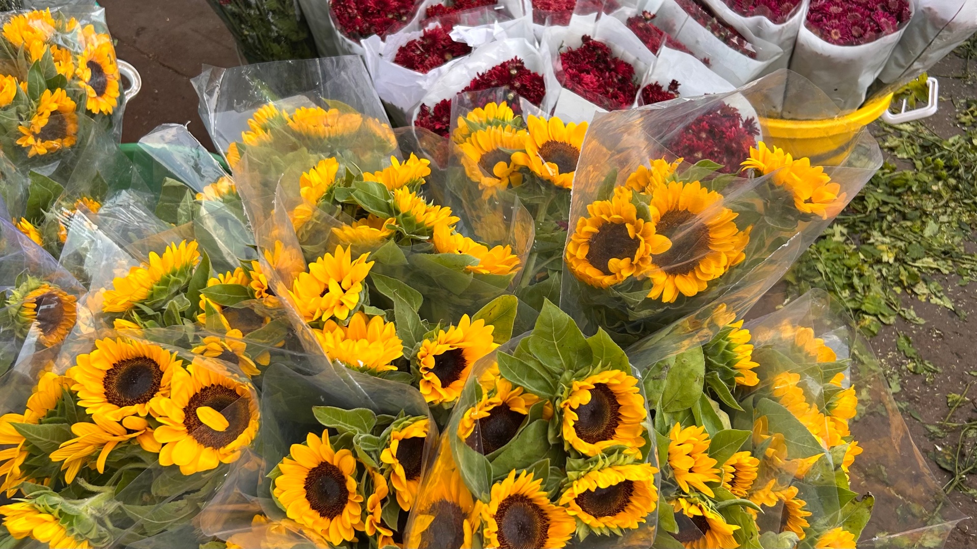 Why Flowers?